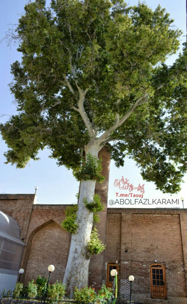مناره های مسجد جامع تسوج